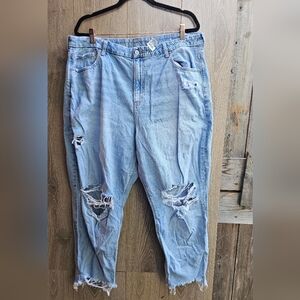 American Eagle Outfitters Strigid Curvy Mom Jeans Short